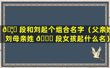 🦍 段和刘起个组合名字（父亲姓刘母亲姓 💐 段女孩起什么名）